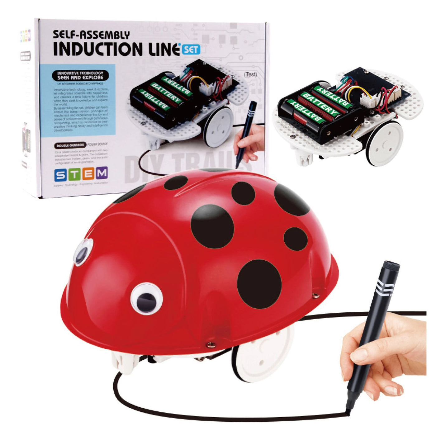 STEM Self-Assembly Induction Line Ladybug Robot Set