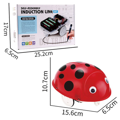 STEM Self-Assembly Induction Line Ladybug Robot Set