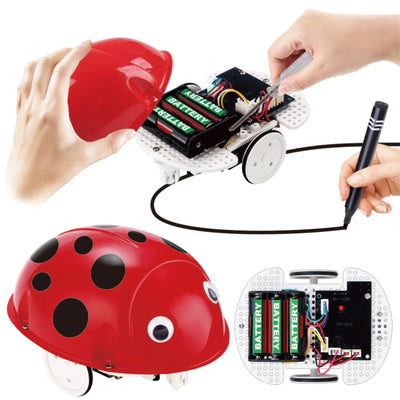 STEM Self-Assembly Induction Line Ladybug Robot Set