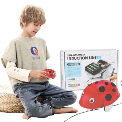 STEM Self-Assembly Induction Line Ladybug Robot Set