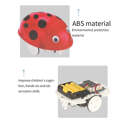 STEM Self-Assembly Induction Line Ladybug Robot Set